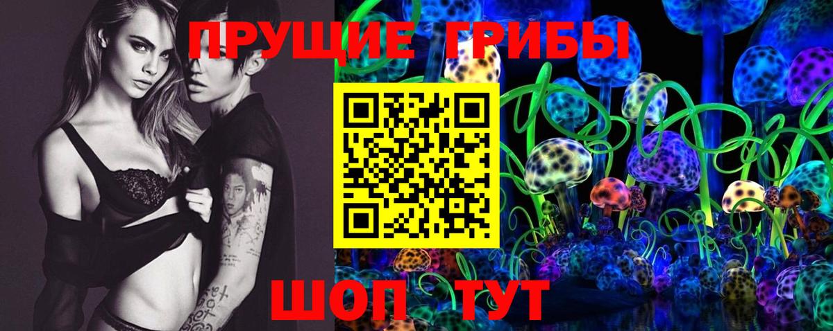 Анжеро-Судженск  Галлюциногенные грибы Psilocybe  Галлюциногенные грибы Psilocybine cubensis  Вход с VPN 