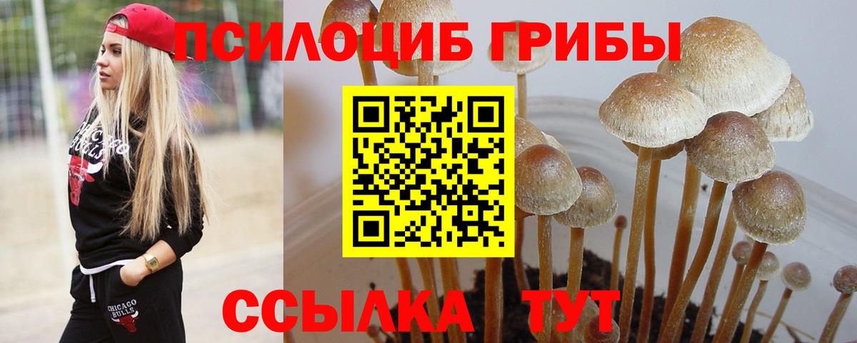 Галлюциногенные грибы мицелий Анжеро-Судженск